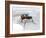 Fly with Microchip-Christian Darkin-Framed Photographic Print