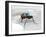 Fly with Microchip-Christian Darkin-Framed Photographic Print