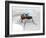 Fly with Microchip-Christian Darkin-Framed Photographic Print