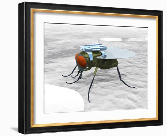 Fly with Microchip-Christian Darkin-Framed Photographic Print