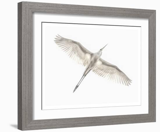 Fly-Keren Or-Framed Giclee Print