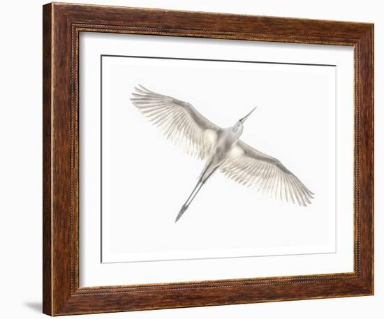 Fly-Keren Or-Framed Giclee Print