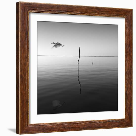 Fly-Moises Levy-Framed Photographic Print