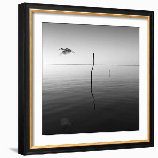 Fly-Moises Levy-Framed Photographic Print
