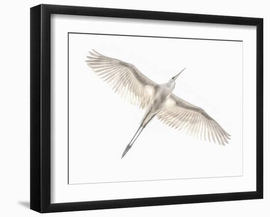 Fly-Keren Or-Framed Photographic Print