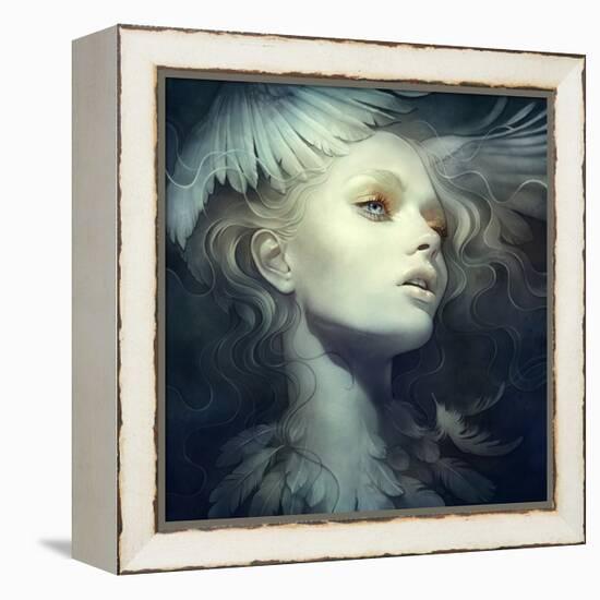 Fly-Anna Dittman-Framed Stretched Canvas