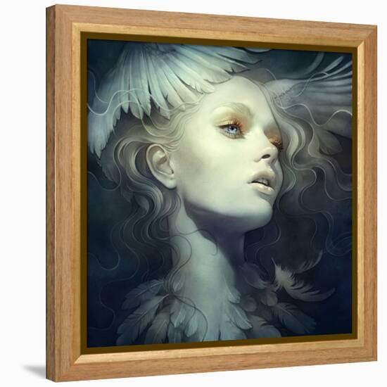 Fly-Anna Dittman-Framed Stretched Canvas