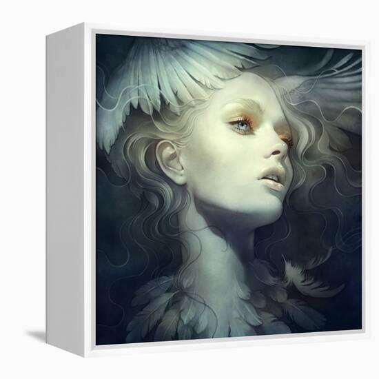 Fly-Anna Dittman-Framed Stretched Canvas