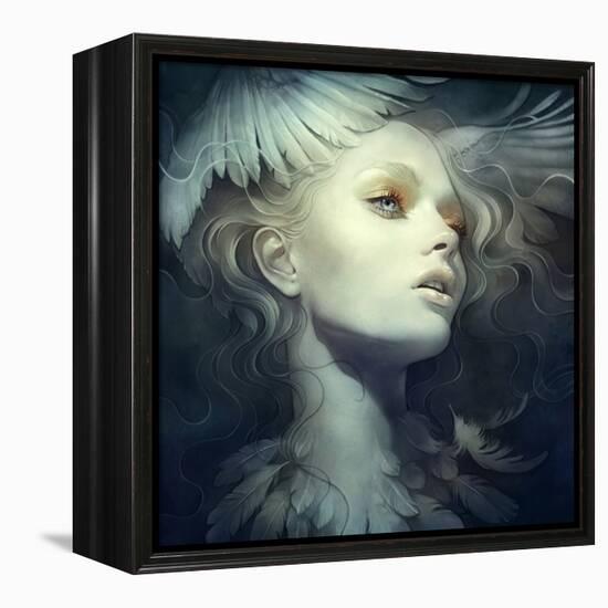 Fly-Anna Dittman-Framed Stretched Canvas