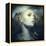 Fly-Anna Dittman-Framed Stretched Canvas