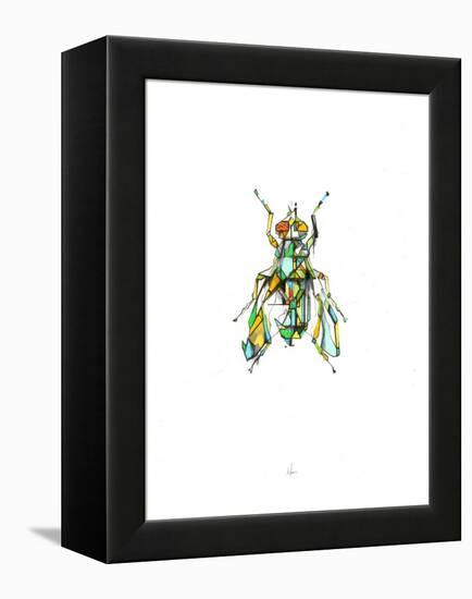 Fly-Alexis Marcou-Framed Stretched Canvas