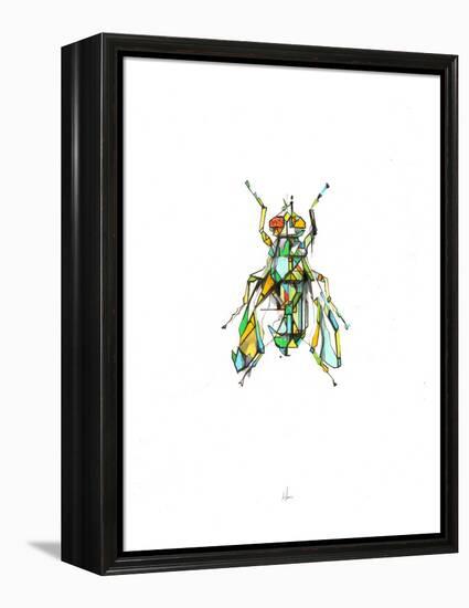 Fly-Alexis Marcou-Framed Stretched Canvas