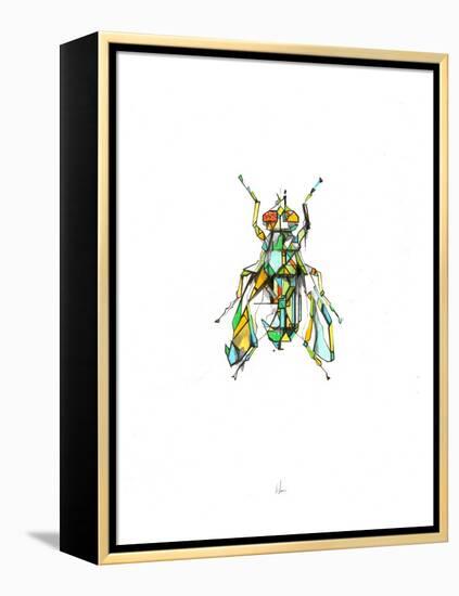 Fly-Alexis Marcou-Framed Stretched Canvas