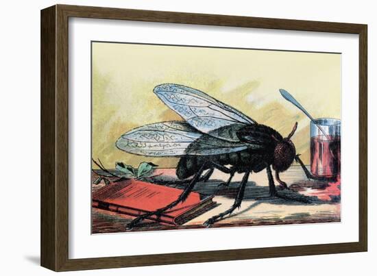 Fly-null-Framed Art Print