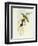 Flycatcher (Ficedula Hypolaris)-John Gould-Framed Giclee Print