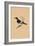 'Flycatcher', (Muscicapidae), c1850, (1856)-Unknown-Framed Giclee Print