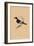 'Flycatcher', (Muscicapidae), c1850, (1856)-Unknown-Framed Giclee Print