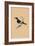 'Flycatcher', (Muscicapidae), c1850, (1856)-Unknown-Framed Giclee Print