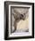 Flying a Dragon, Timlin-William M. Timlin-Framed Premium Giclee Print