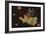 Flying Angel Holding Starstars in Background-Beverly Johnston-Framed Giclee Print