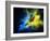 Flying Ara Parrot over Colourful Powder Explosion-NejroN Photo-Framed Photographic Print