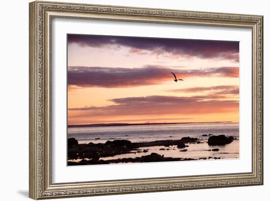 Flying At Sunrise, Sault St. Marie, Michigan '12-Monte Nagler-Framed Photographic Print