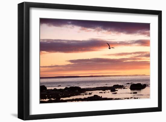 Flying At Sunrise, Sault St. Marie, Michigan '12-Monte Nagler-Framed Photographic Print