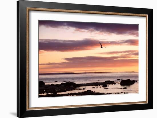 Flying At Sunrise, Sault St. Marie, Michigan '12-Monte Nagler-Framed Photographic Print