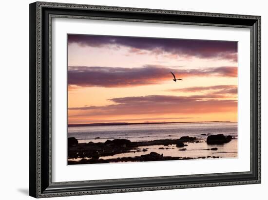 Flying At Sunrise, Sault St. Marie, Michigan '12-Monte Nagler-Framed Photographic Print