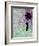 Flying Balloon Girl-Banksy-Framed Giclee Print