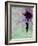 Flying Balloon Girl-Banksy-Framed Giclee Print