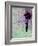 Flying Balloon Girl-Banksy-Framed Premium Giclee Print