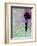 Flying Balloon Girl-Banksy-Framed Premium Giclee Print