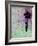 Flying Balloon Girl-Banksy-Framed Premium Giclee Print