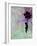 Flying Balloon Girl-Banksy-Framed Premium Giclee Print