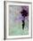 Flying Balloon Girl-Banksy-Framed Giclee Print