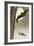 Flying Bats-Koson Ohara-Framed Giclee Print