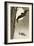 Flying Bats-Koson Ohara-Framed Giclee Print