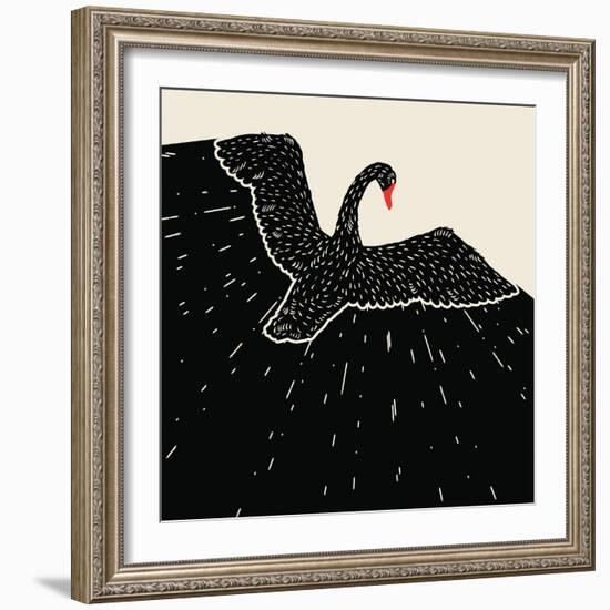 Flying Black Swan-incomible-Framed Art Print