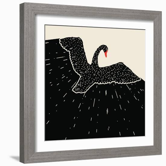 Flying Black Swan-incomible-Framed Art Print