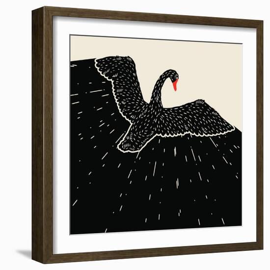 Flying Black Swan-incomible-Framed Art Print