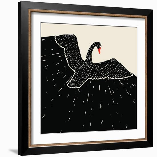 Flying Black Swan-incomible-Framed Art Print