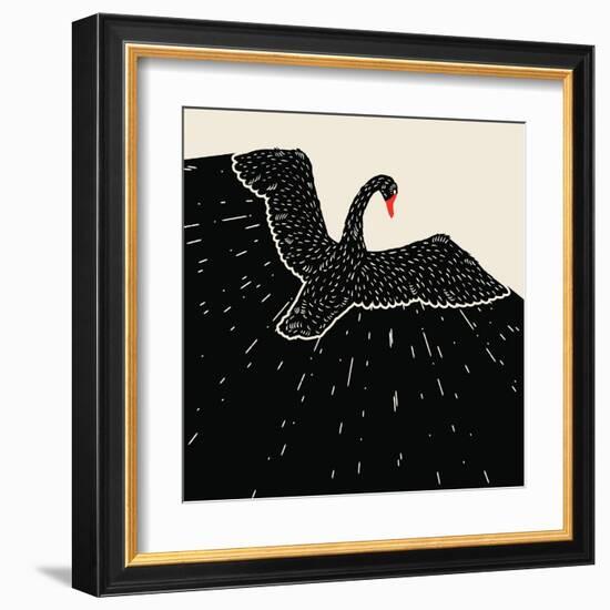 Flying Black Swan-incomible-Framed Art Print