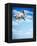 Flying Bulldog Puppy-Lew Robertson-Framed Premier Image Canvas