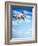 Flying Bulldog Puppy-Lew Robertson-Framed Photographic Print