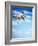 Flying Bulldog Puppy-Lew Robertson-Framed Photographic Print