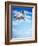 Flying Bulldog Puppy-Lew Robertson-Framed Photographic Print