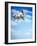 Flying Bulldog Puppy-Lew Robertson-Framed Photographic Print