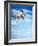 Flying Bulldog Puppy-Lew Robertson-Framed Photographic Print