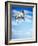 Flying Bulldog Puppy-Lew Robertson-Framed Photographic Print